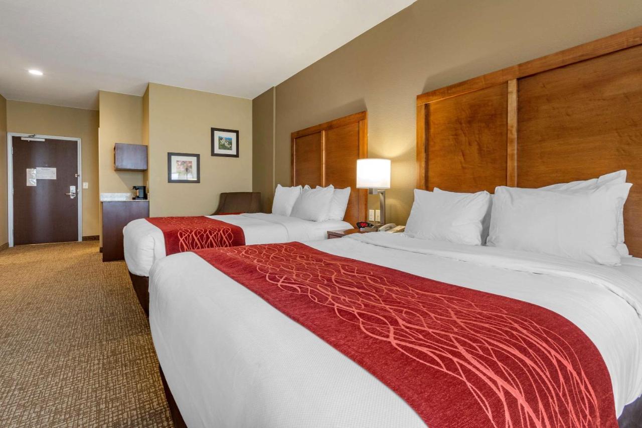 Comfort Inn & Suites Near Mt Rushmore Hill City Luaran gambar