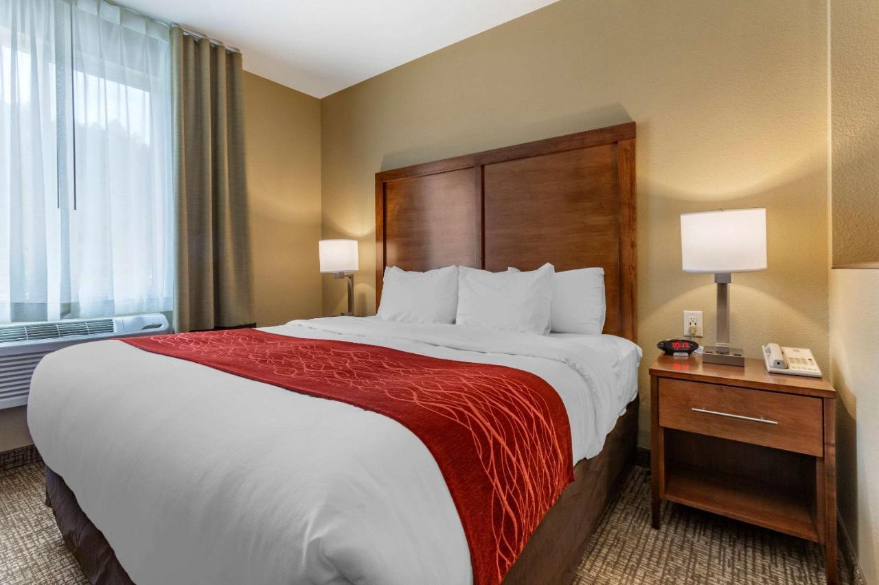 Comfort Inn & Suites Near Mt Rushmore Hill City Luaran gambar