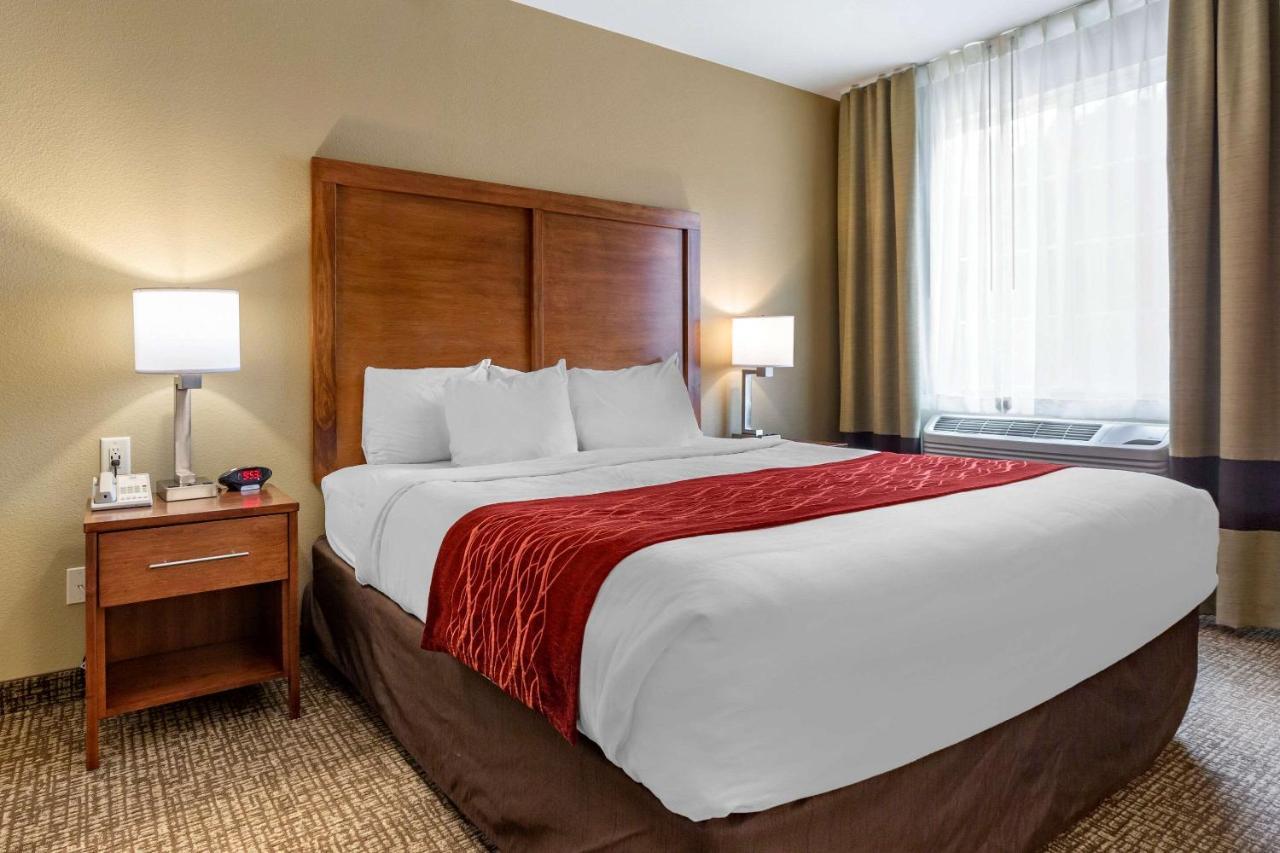 Comfort Inn & Suites Near Mt Rushmore Hill City Luaran gambar